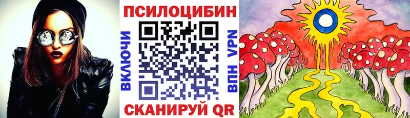 Галлюциногенные грибы Psilocybine cubensis Архангельск